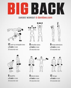 the big back workout poster shows how to do it