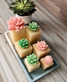 several candles with flowers on them sitting on a tray next to a potted plant