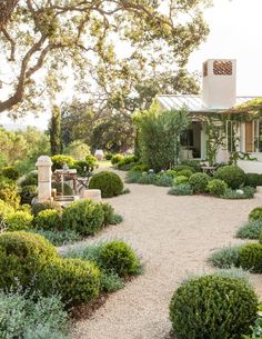 a house with lots of bushes around it