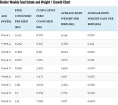 table showing the number and type of food intakes for each individual person in their diet