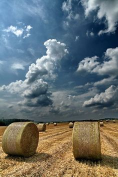 hay bales in a field under a cloudy sky