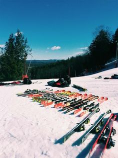 many skis and snowboards are lined up on the snowy ground in front of trees