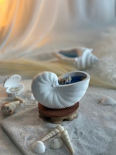 shells and seashells are scattered around a white bowl