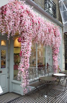 pink flowers are growing on the side of a building in front of tables and chairs