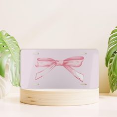 a pink bow on a white license plate next to a potted plant and houseplant