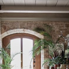 a living room filled with lots of plants next to a wooden door and window sill