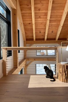 a cat sitting on the floor in a room with wooden floors and walls, looking out to the outside