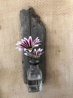 there is a vase with flowers in it on the wall next to a wooden plank