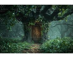 an open door in the middle of a forest surrounded by green plants and trees with leaves