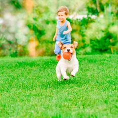 a boy and his dog playing with a ball in the grass