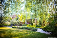 a garden with lots of green grass and trees