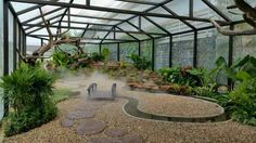 the inside of a glass house with plants and rocks in the ground, steam coming out