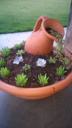 a potted planter filled with succulents and dirt