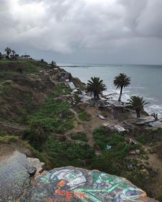 graffiti on the side of a cliff next to the ocean with palm trees in the foreground