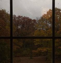 an open window with trees outside and rain drops on the windows glass, looking out