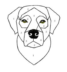 a drawing of a dog's face with numbers on the front and back side