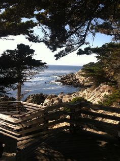 a wooden bench sitting on top of a lush green hillside next to the ocean and trees