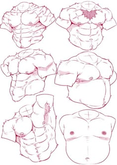 an image of some body parts in red ink on white paper, including the torso and chest