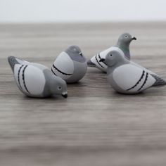 three small birds sitting on top of a wooden floor