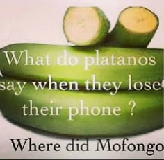 what do platanos say when they lose their phone? where did motorolano go?