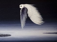 an owl flying in the night sky with its wings spread out and stars on the ground