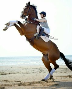 a woman riding on the back of a brown horse across a sandy beach next to the ocean