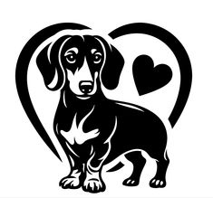 a black and white dachshund dog sitting in front of a heart