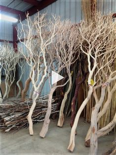 there are many trees that have been made out of sticks and branches in the room