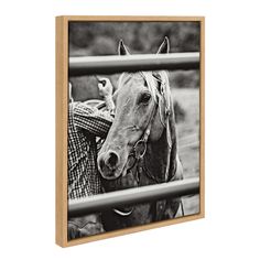 a black and white photo of a horse behind a fence