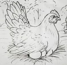 a black and white drawing of a chicken in the grass next to a fire hydrant