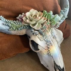 a cow skull with succulents and other plants on it