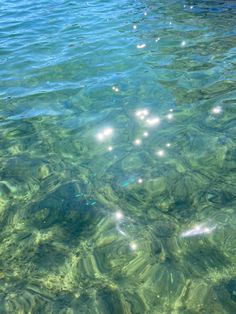 the water is so clear that it looks like they are floating on top of each other