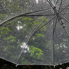 an open umbrella with rain drops on the glass and trees in the backgroud