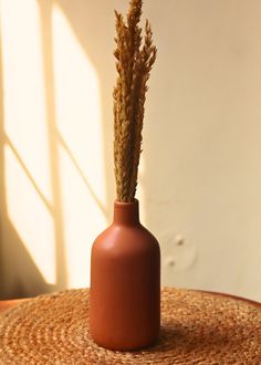 a vase with some plants in it sitting on a table