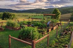 a man is tending to his garden in the field