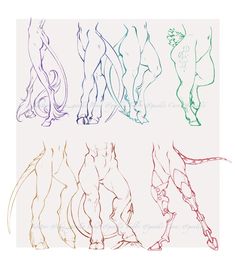 four different types of legs and feet in colored pencils on white paper, each with an