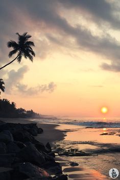 the sun is setting on the beach with palm trees in the foreground and water below