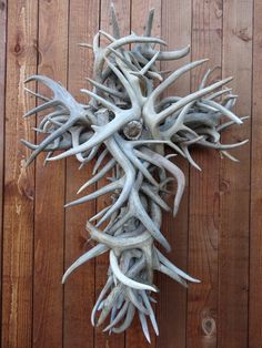 a cross made out of antlers on a wooden wall