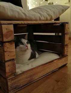 a cat sitting in a wooden crate on top of a floor next to a pillow