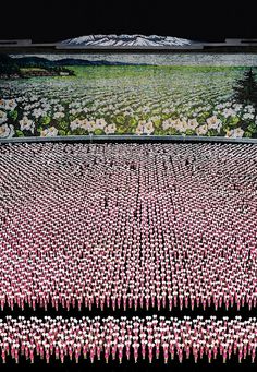 a field full of pink and white flowers in front of a black background with mountains