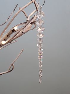 a bird perched on top of a tree branch next to a crystal beaded necklace