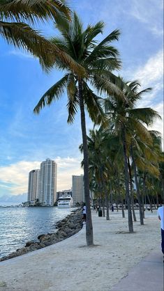 palm trees line the beach as people walk on the sand near the water and buildings