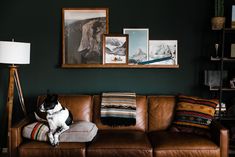 a black and white dog sitting on top of a brown couch next to a lamp