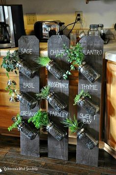 there are many plants growing out of the bottles on this board that is attached to the kitchen counter