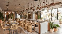 a restaurant with tables, chairs and potted plants hanging from the ceiling in front of large windows