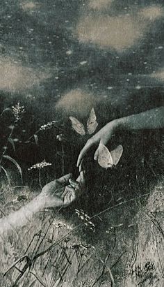 a hand reaching for a butterfly in the grass