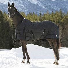 a horse wearing a blanket standing in the snow