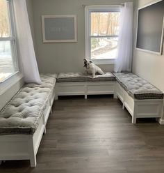 a dog sitting on a bench in front of two windows