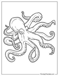 an octopus coloring page for kids