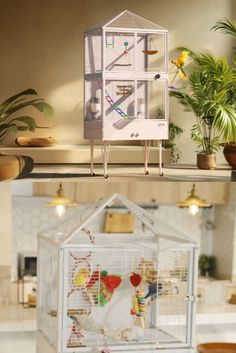 Gift Your Feathered-Friend the Reli Birddy Smart Bird Cage for Happily Whistling a Loving Tune